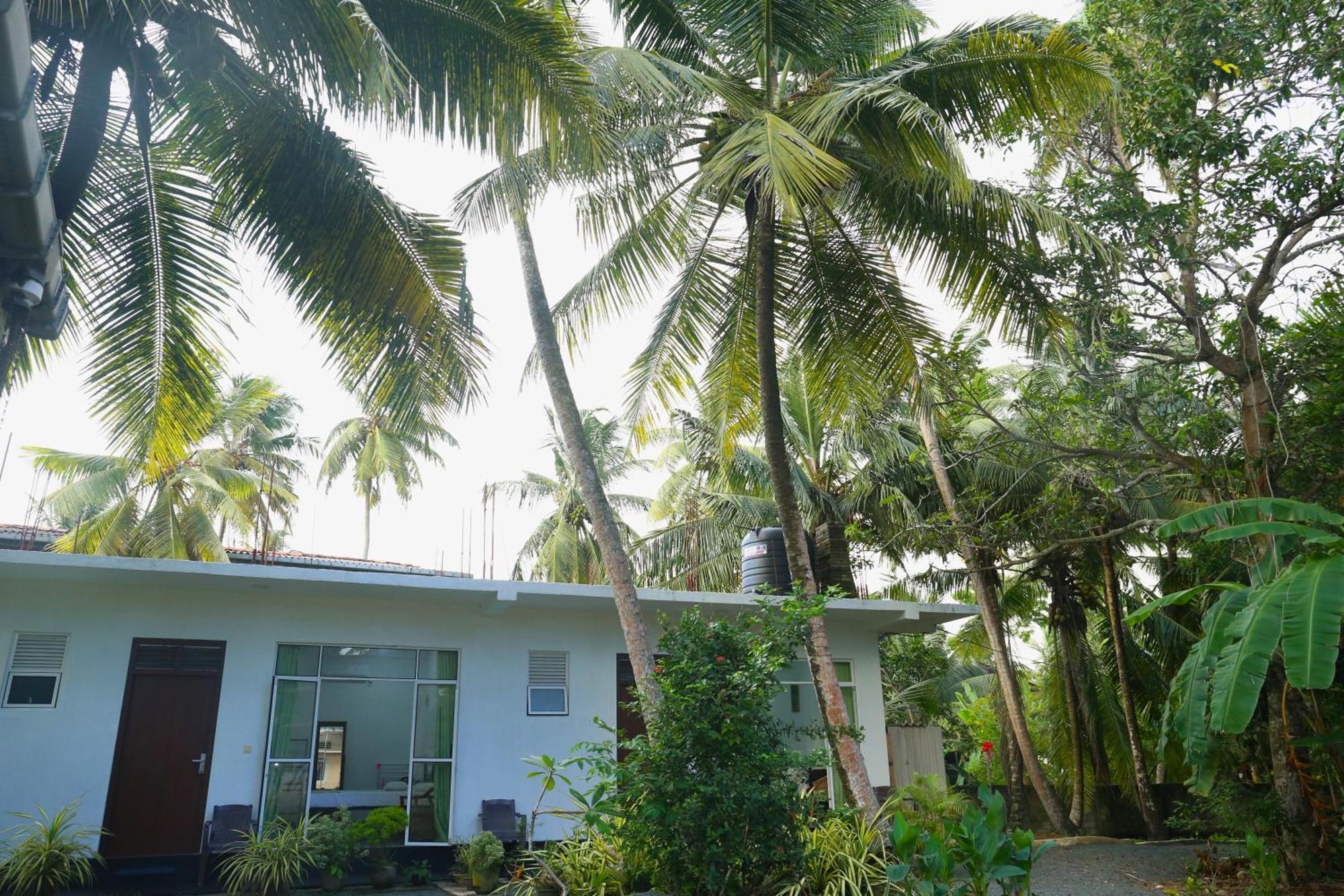 היקדואה Sandy Palms Guesthouse מראה חיצוני תמונה