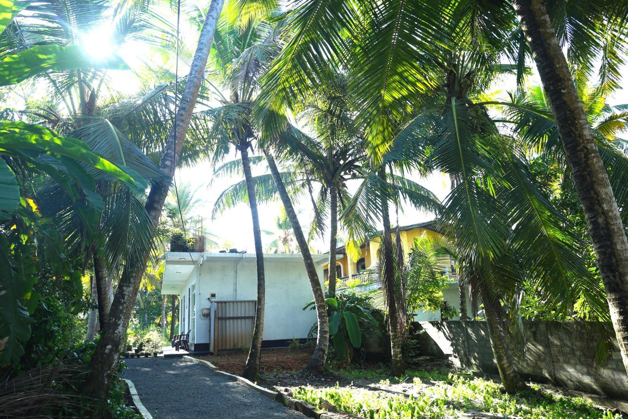 היקדואה Sandy Palms Guesthouse מראה חיצוני תמונה
